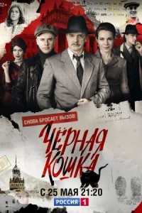 Обложка Чёрная кошка 2020