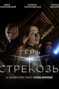 Обложка Тень стрекозы 2015
