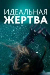 Обложка Идеальная ӂеҏҭва 2022