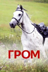 Обложка Гром 2013
