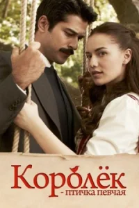 Обложка Королек птичка певчая 2013