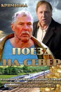 Обложка Поезд на север 2013