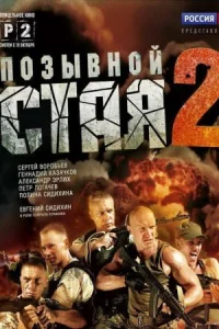 Обложка Позывной Стая 2 сезон 2014