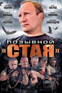 Обложка Позывной Стая 2013
