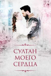 Обложка Султан моего сердца 2018