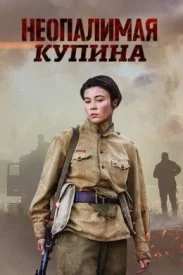 Неоконченный бой