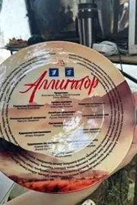 Аллигатор